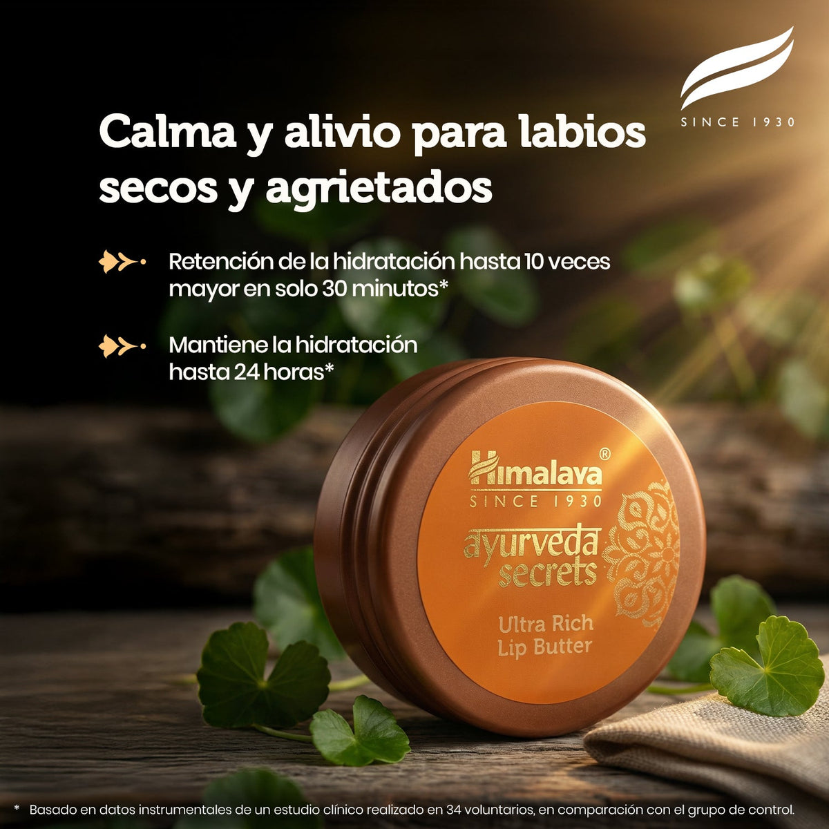 Ayurveda Secrets Ultra Rich Lip Butter · Himalaya · 8,5 gramos