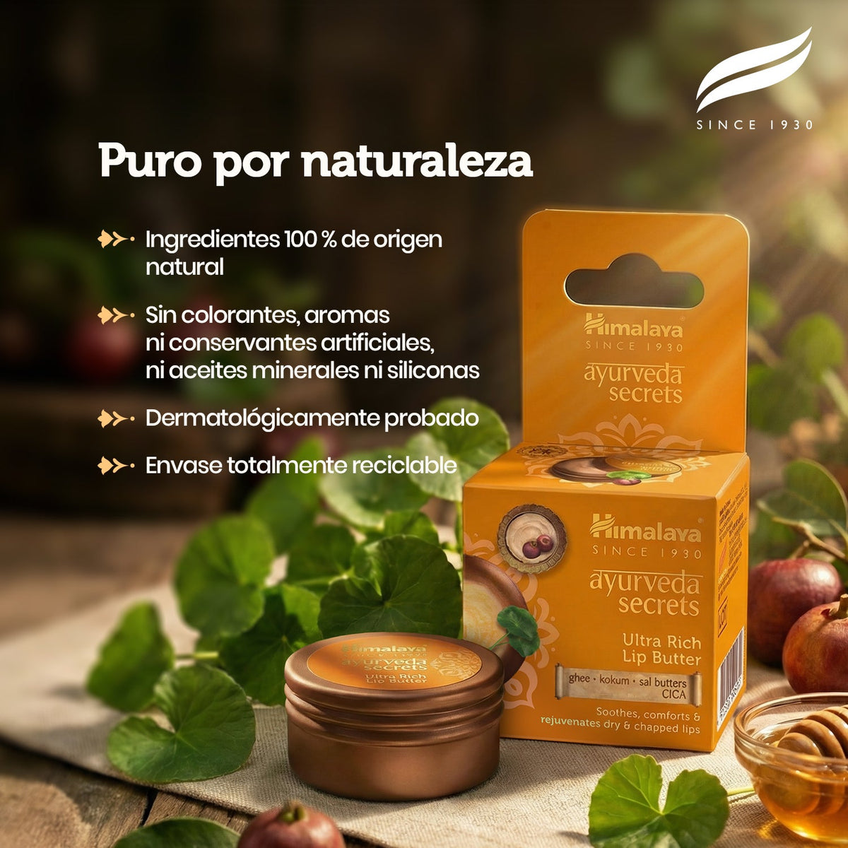 Ayurveda Secrets Ultra Rich Lip Butter · Himalaya · 8,5 gramos