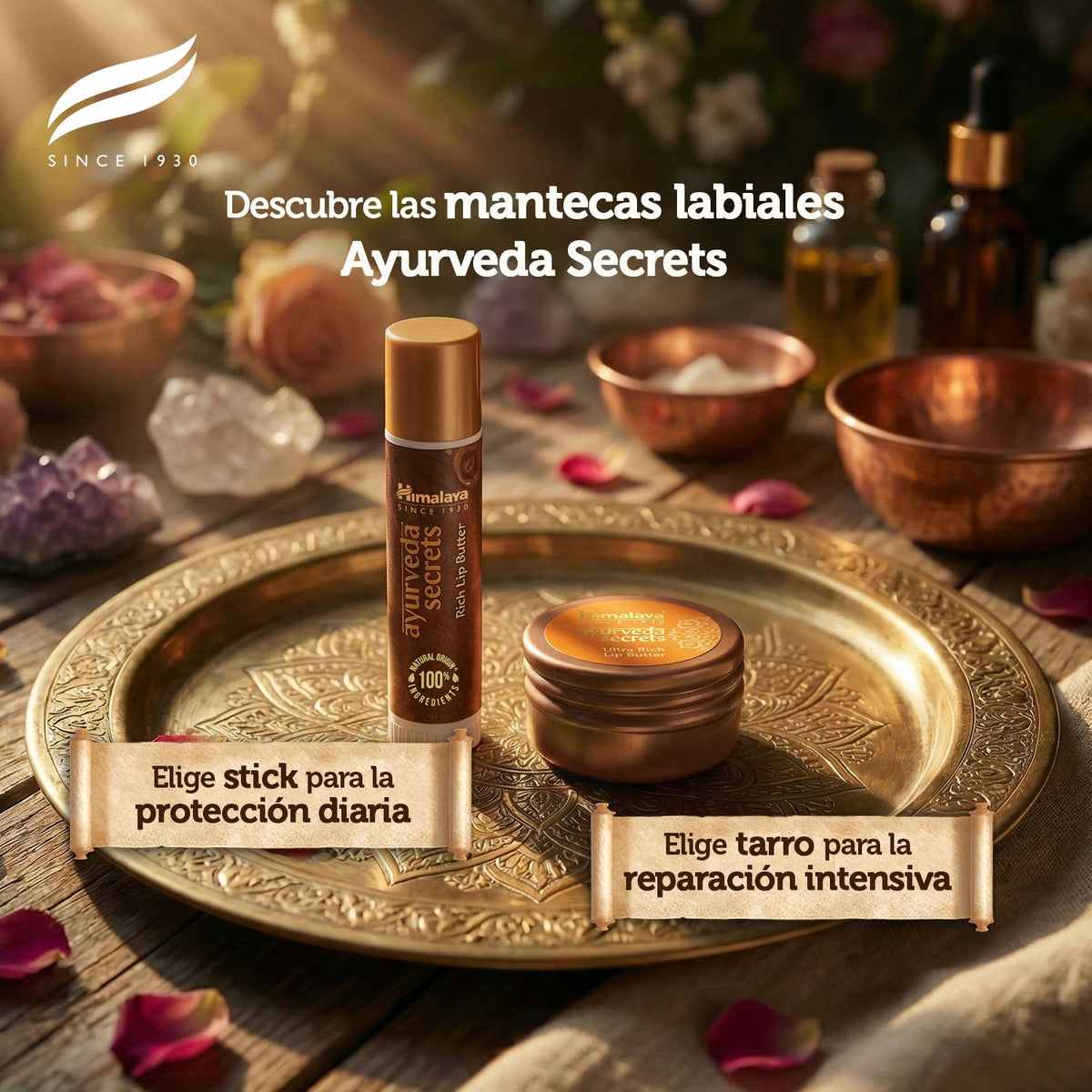 Ayurveda Secrets Ultra Rich Lip Butter · Himalaya · 8,5 gramos