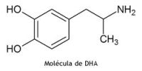 DHA: un ácido graso específico