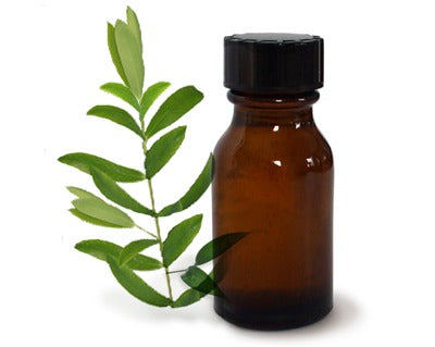 Propiedades del aceite de Árbol de Té