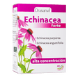 Echinacea Forte · Drasanvi · 45 cápsulas