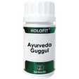 Holofit Ayurveda Guggul · Equisalud · 50 cápsulas