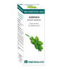Bio Essential Oil Albahaca · Equisalud · 10 ml