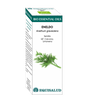 Bio Essential Oil Eneldo · Equisalud · 10 ml