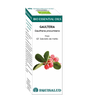 Bio Essential Oil Gaulteria · Equisalud · 10 ml
