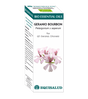 Bio Essential Oil Geranio Bourbon · Equisalud · 10 ml