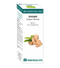 Bio Essential Oil Jengibre · Equisalud · 10 ml