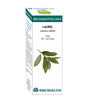 Bio Essential Oil Laurel · Equisalud · 10 ml