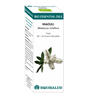 Bio Essential Oil Niaouli · Equisalud · 10 ml