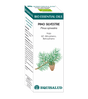 Bio Essential Oil Pino Silvestre · Equisalud · 10 ml
