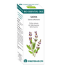 Bio Essential Oil Salvia · Equisalud · 10 ml