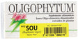 Oligophytum H12 SOU (Azufre) · Holistica · 100 gránulos