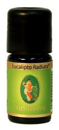 Aceite Esencial de Eucalipto Radiata · Primavera Life · 5 ml