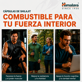 Shilajit Cápsulas · Himalaya · 60 cápsulas