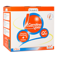 L-Carnitina + Garcinia Cambogia · Drasanvi · 20 viales