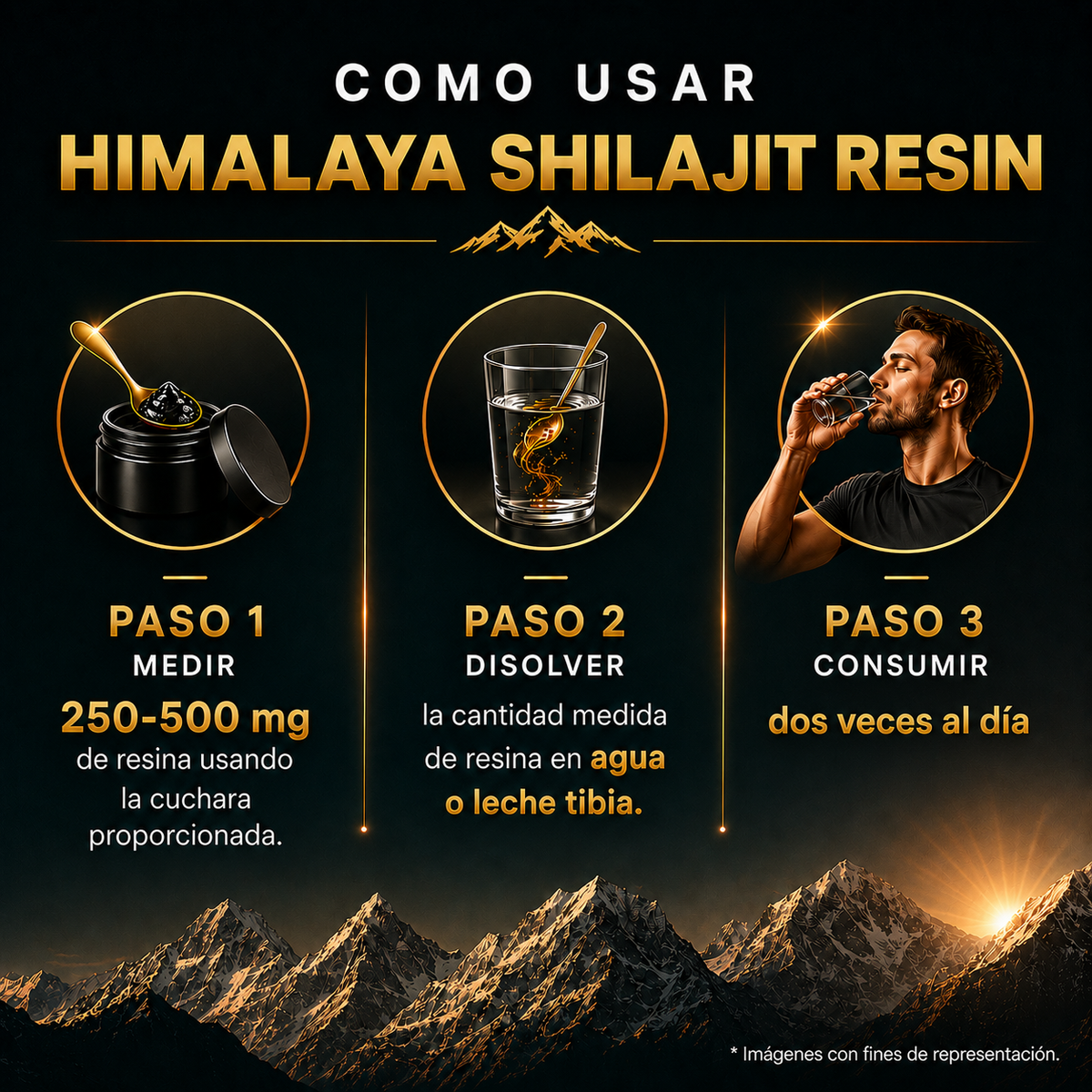 Shilajit Resina · Himalaya · 20 gramos