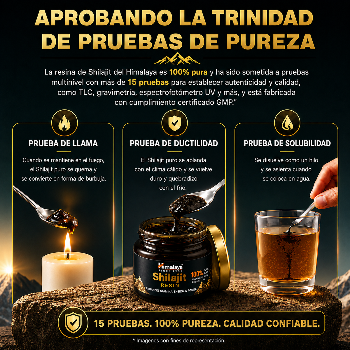 Shilajit Resina · Himalaya · 20 gramos