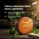 Ayurveda Secrets Ultra Rich Lip Butter · Himalaya · 8,5 gramos