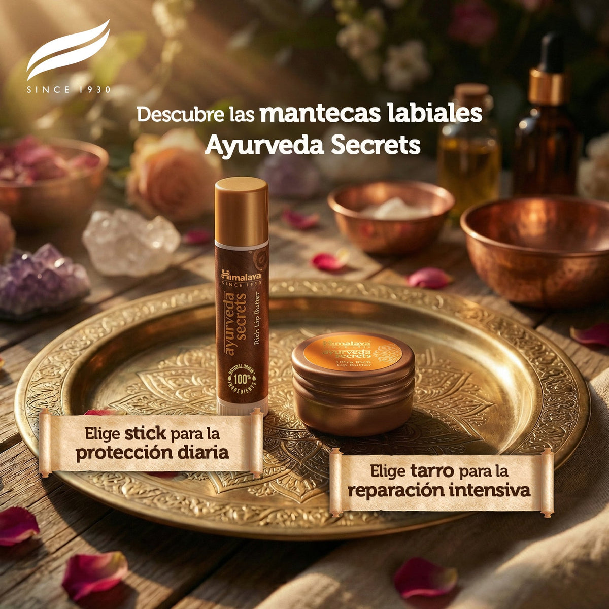 Ayurveda Secrets Rich Lip Butter · Himalaya · 4 gramos